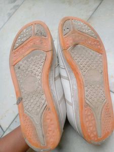 campus Shoes