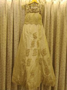 Elegant Ethnic Gown