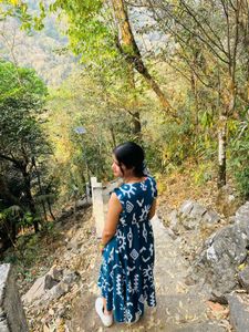 Stylish Blue Printed Midi Dress
