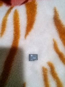 Micro SD Card "2GB"