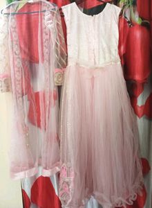 Beautiful Pink Embroidered Gown