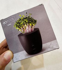 Grow Your Own Microgreens Kit
