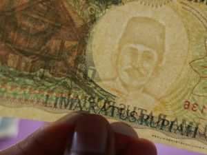 Indonesia 500 Rupiah Note Orangutan Issue, Rare 💶