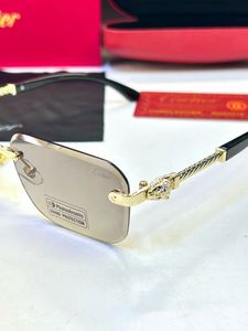 Cartier Rimless Sunglasses