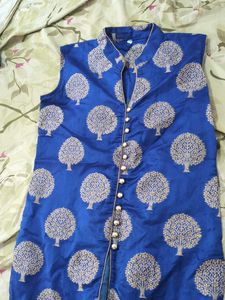 Blue Ethnic Kurta with Tree Print