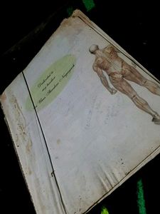Chaurasia's Human Anatomy Book