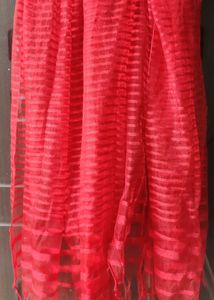 Red Striped Women Dupatta