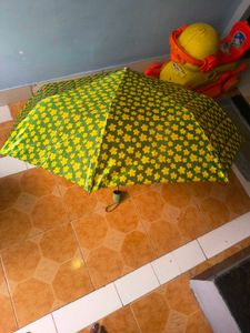 umbrella beautiful green color