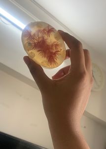 Premium Dry Flowers Soap
