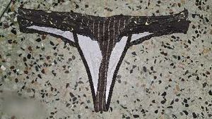 cotton thong panty