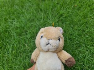 Stuffed Squirrel Stuffed Soft Toy