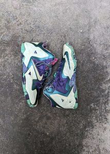 Nike Lebron Sneakers