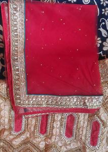 Bridal Fish Cut Lehnga