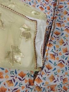 new organza saree with blouse