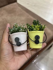 Pack Of 2 Planters Fridge Magnet