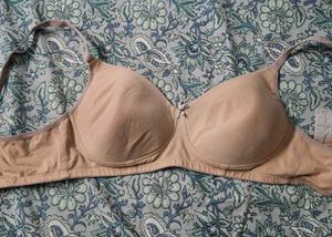 Comfortable Everyday Beige Bra padded