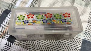Nail Polish &amp; Bindi Set