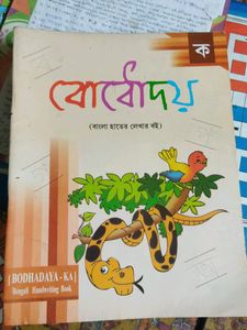 Kids LKG Books Set