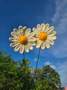 Handmade Crochet daisy