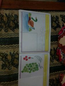 Drawing n Craft Book