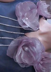Shiny Designed top🥰