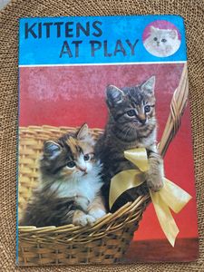 Two colourful picture books from Japan