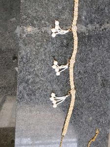 Exquisite Pearl and Crystal Kamarbandh