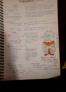 Anatomy Physiology Notes First Year Mbbs