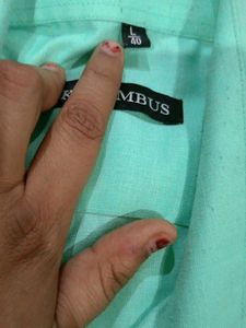 Men's Mint Green Casual Shirt