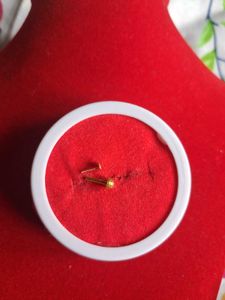 Elegant Stud nosepin