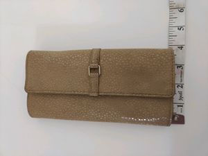 Item-KBG56/UNUSED FROM CLOSET/Beautiful BEIGE Colored BAGGIT PURSE/BAG/POUCH/CLUTCH..