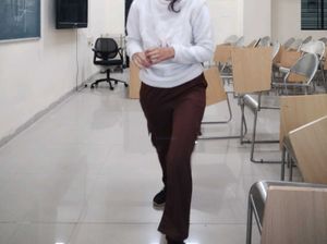 Brown Casual Trousers