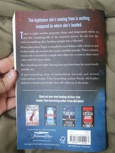 The Crash by Freida McFadden