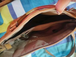 Baggit Bag