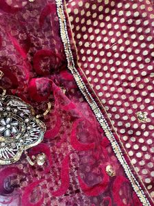 Party Wear Embellished Boutique Saree