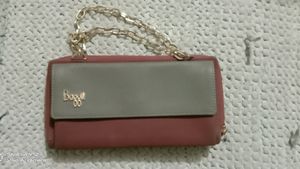 Baggit Sling