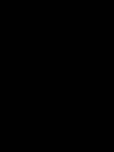 Dupata