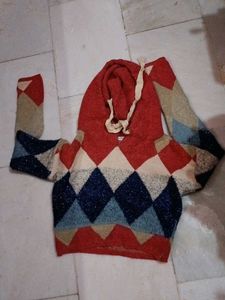 Cozy Argyle Knit Hoodie