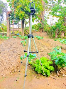 Phone/Camera Tripod