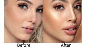 Highlighter Palette New