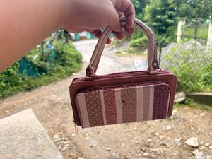 Chic Striped Wallet/Bag