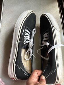 Original Vans Black Converse Shoes