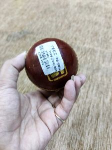 Leather ball