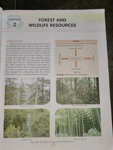 Class X Geography Textbook - Term I &amp; II