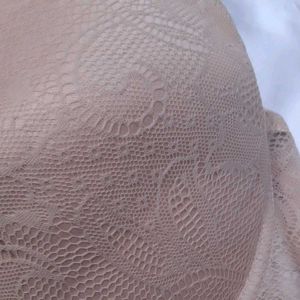 Izod Bra Panty