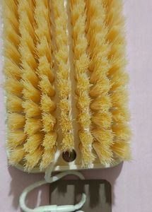 Bottle Brush