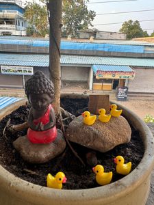 Set Of 6 Duck Miniature