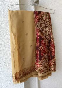 dark cream saree with beautiful India bordering