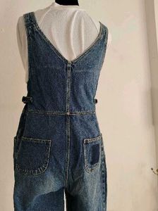 Vintage Denim Overalls