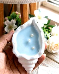 Set of 2 Seashell Scented Soy Wax Candles